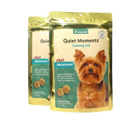 We reviewed the best dog food for yorkies brands out there and we have a winner! Best Dog Food For Yorkies South Africa Best Dog Food For ...