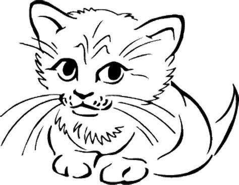 Kitty Cat Coloring Pages | Animal coloring pages, Puppy coloring pages, Cute animal coloring pages