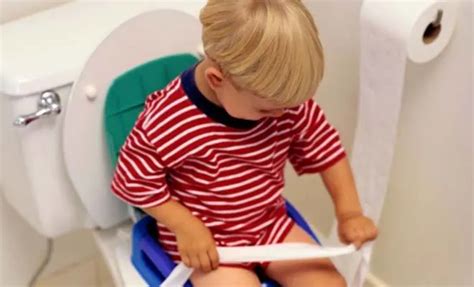 How To Potty Train A Boy Training Tips For A Toddler Charmin