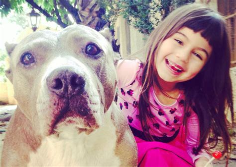 This Amazing Video Shows How Pit Bulls And Kids Can Be The Best Of