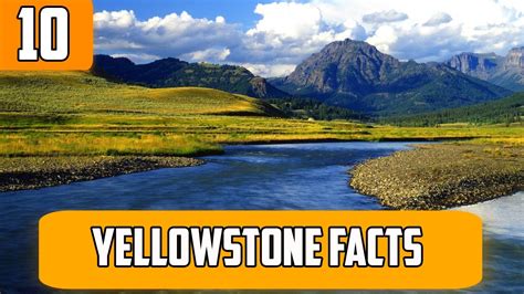Top 10 Facts Yellowstone Quicktops Youtube