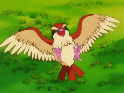 25 Fun And Interesting Facts About Pidgey From Pokemon Tons Of Facts