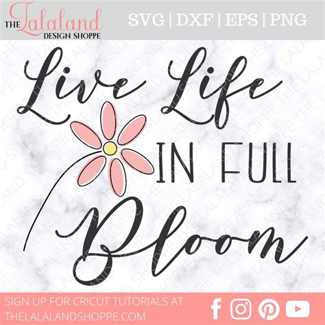 Live Life In Full Bloom SVG Spring Saying Svg Spring Time Etsy