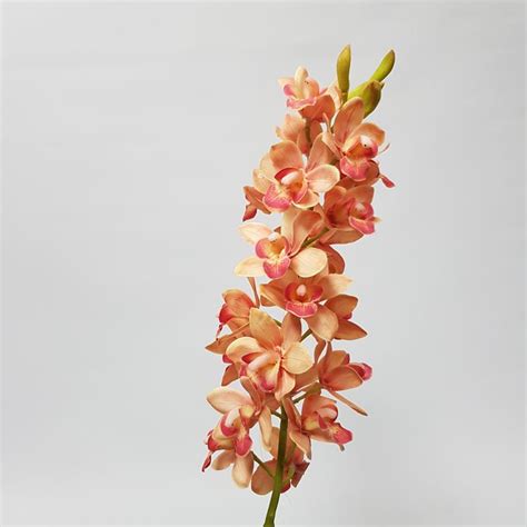 Artificial Cymbidium Orchid Orange 76cm Desflora