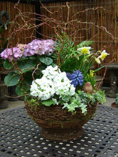 Mixed Plants Baskets Arrangments Of Tropical Plants