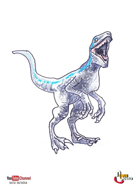 Best Ideas For Coloring Jurassic World Velociraptor Blue Coloring The
