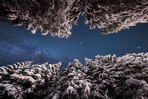 Dreamy Pixel Winter Night At Pokljuka Forest In Slovenia Dreamy Pixel