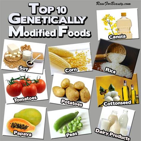 Genetically Modified Organisms Food Pros And Cons Achargert