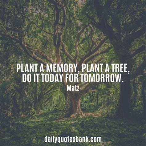 100 Inspirational Quotes About Planting Trees For Future Generations