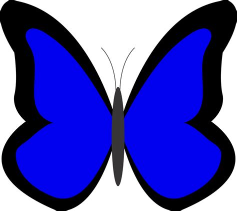 Butterfly 26 Color Colour Blue Clipart Panda Free Clipart Images