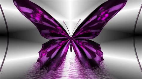 Desktop Wallpaper Purple Butterfly 2021 Cute Wallpapers