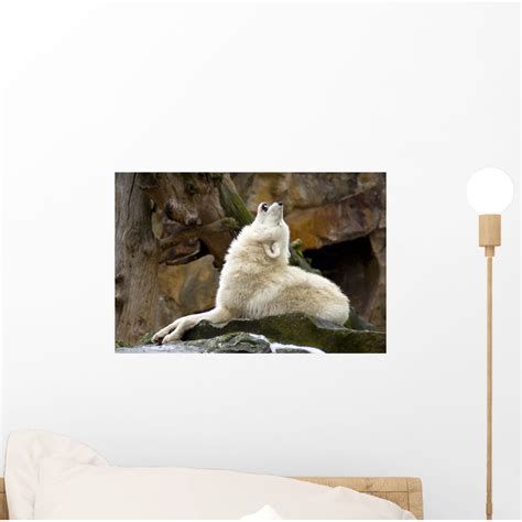 Howling Wolf Wall Mural By Wallmonkeys Peel And Stick Graphic 12 In W