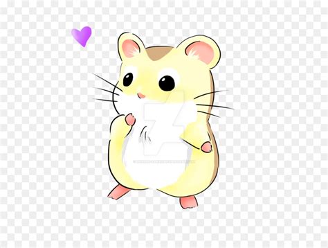 Hamster Cartoon Drawing At Getdrawings Free Download