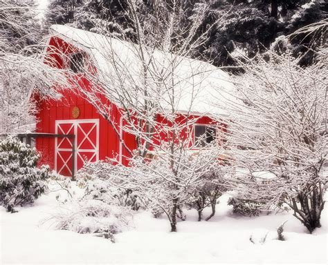 Freshly Fallen Snow Adds To The Winter Beauty Of This Red Barn In