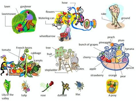 In The Garden Vocabulary ESLBuzz Learning English Vocabulary Flower Words English