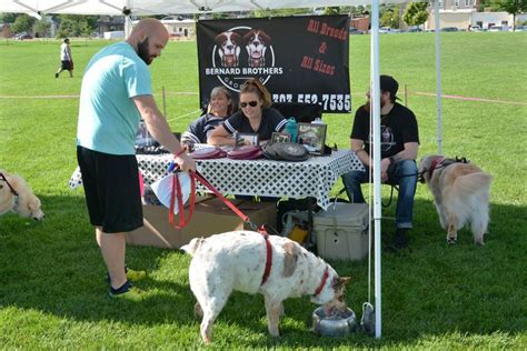 There are two main sources of pet demographics in the united states: Paws and Sneakers returns to Windsor June 15 ...
