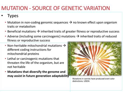 PPT - DAY 6: Sources of genetic variation PowerPoint Presentation, free ...