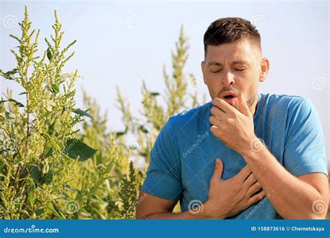 Man Suffering From Ragweed Allergy Outdoors Stock Photo Image Of