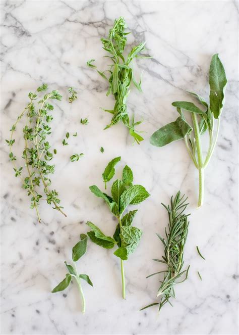 How To Strip Herbs Off Their Stems Recipe Store Fresh Herbs Herbs