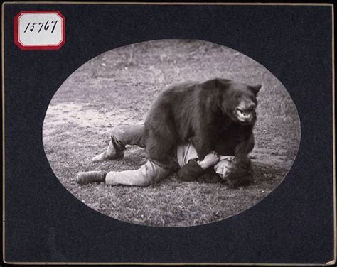 There Are People Who Wrestle Bears And They Say The Bears