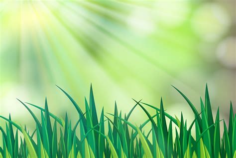 Background Scene With Green Grass Download Free Vectors