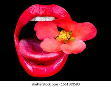 Sexy Womans Lips Erotic Concept Sexy Nh C S N Shutterstock