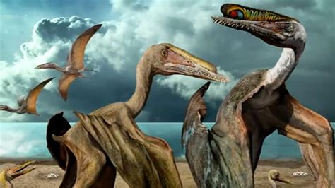 Breaking News A New Flying Reptile With Teeth Has Been Uncovered By Paleontologists Way Daily
