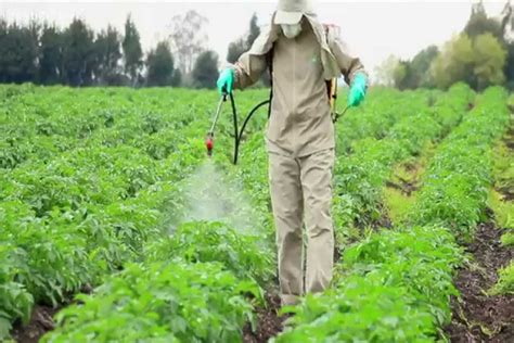 Littering and radioactive contamination also causes pollution. Victory!! Pesticide Contamination Prohibited from Organic ...