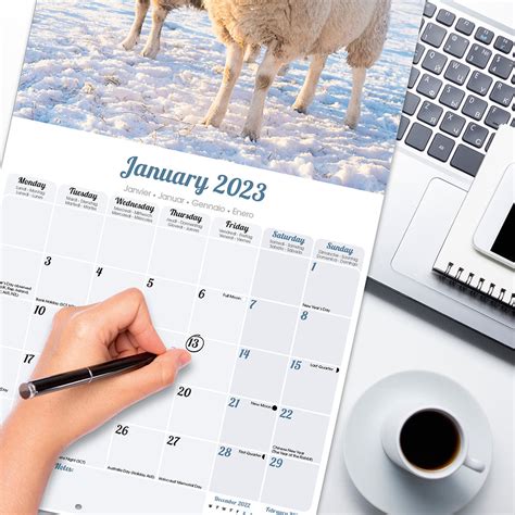 Sheep 2023 Online Exclusive Square Wall Calendar