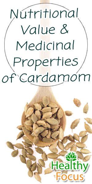 Top 10 Health Benefits Of Cardamom Healthy Focus