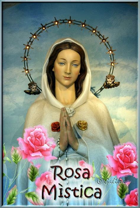 Imagenes Religiosas María Rosa Mística