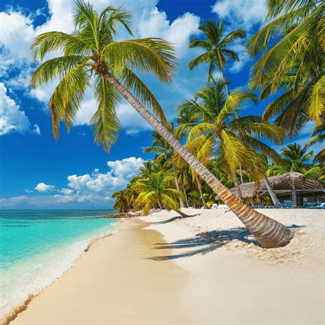 Descubra as 10 melhores praias do Caribe para suas próximas férias