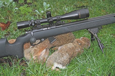 Cz 455 Mini Sniper 22 Rimfire Reviewed By Shooting Times Magazine