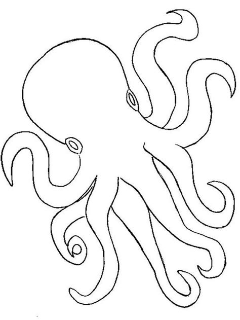 Https://wstravely.com/coloring Page/adult Coloring Pages Octopus