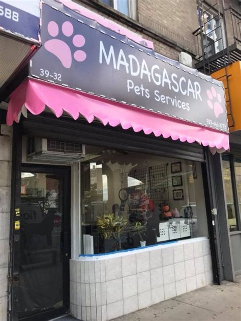 Full Service Pet Grooming Shop Opens On Queens Boulevard Sunnyside Post