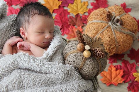 Diy Newborn Photo Shoot Baby Inspiration Autumn October Leaves Pics