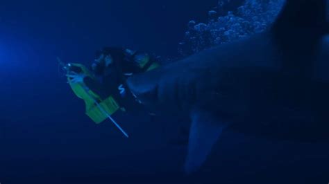 But it's an entertaining yarn about genetically enhanced sharks chowing down on some unlucky humans, and sometimes, that's all. Deep Blue Sea 2 Trailer (2018)