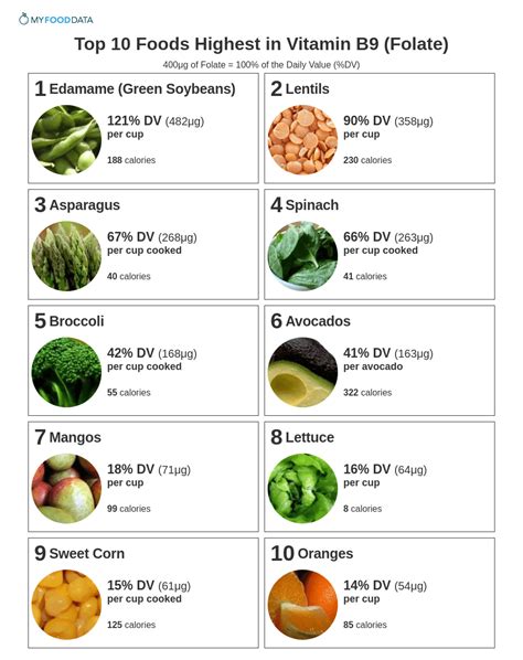 Top 10 Foods Highest In Vitamin B9 Folate