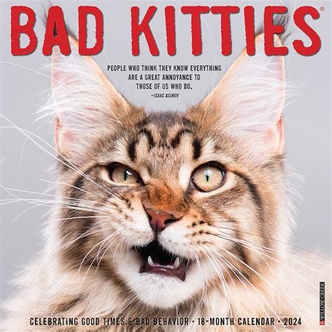 Bad Kitties Calendar 2024animal Den
