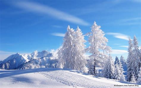 Winter Scenery Desktop Wallpapers Top Free Winter Scenery Desktop