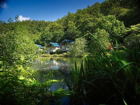 Forest Holidays Deerpark Cornwall Liskeard Campground Reviews