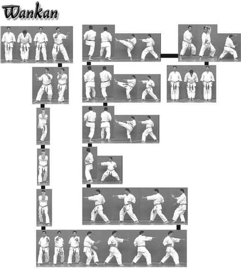 26 Kata Passo A Passo Shotokan Karate Kampfkunsttechniken Kampfkünste