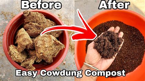 How To Make Compost At Home For Garden Pot Compost Special Youtube
