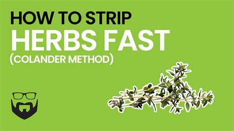How To Strip Herbs Fast 2 Ways Youtube