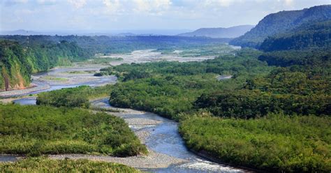 Excursión De Un Día A La Amazonía Ecuatoriana Musement