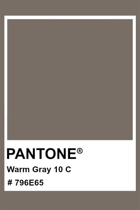 Pantone Warm Gray 10 C Pantone Color Pms Hex Pantone Colour