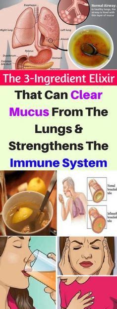 The 3 Ingredient Elixir That Can Clear Mucus From The Lungs