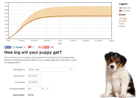 How Big Will My Puppy Get — Naive Pets