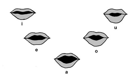 Diferencia Entre Vocales Y Consonantes Prodiffs