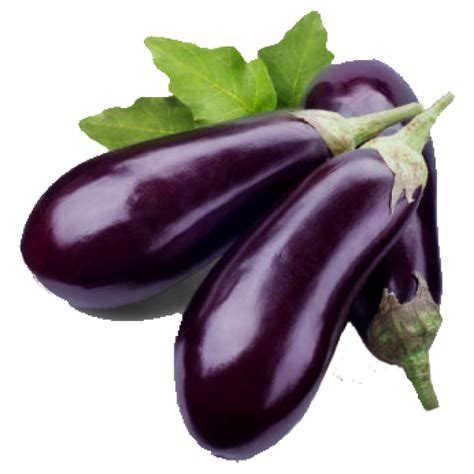 Eggplant Clipart Transparent Background And Other Clipart Images On